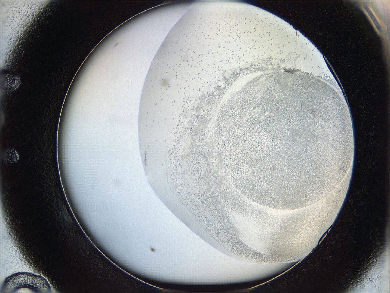 06bq_E10_ImagerDefaults_5.jpg