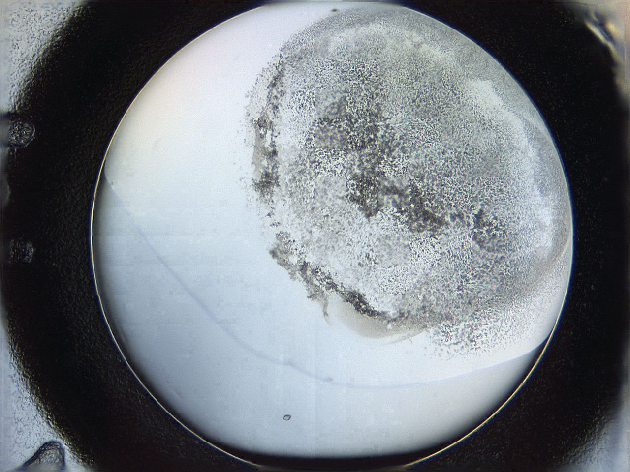06bq_E11_ImagerDefaults_3.jpg