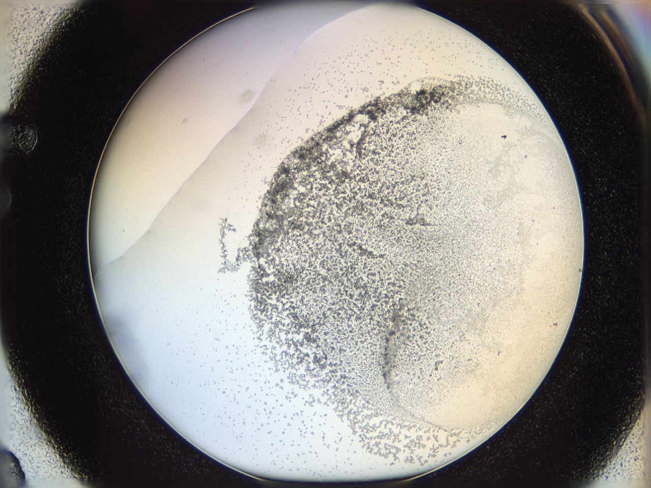 06bq_F3_ImagerDefaults_5.jpg