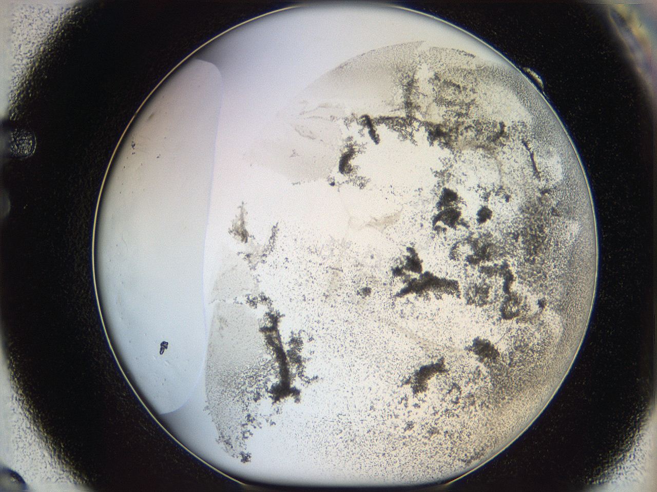 06bq_F9_ImagerDefaults_3.jpg
