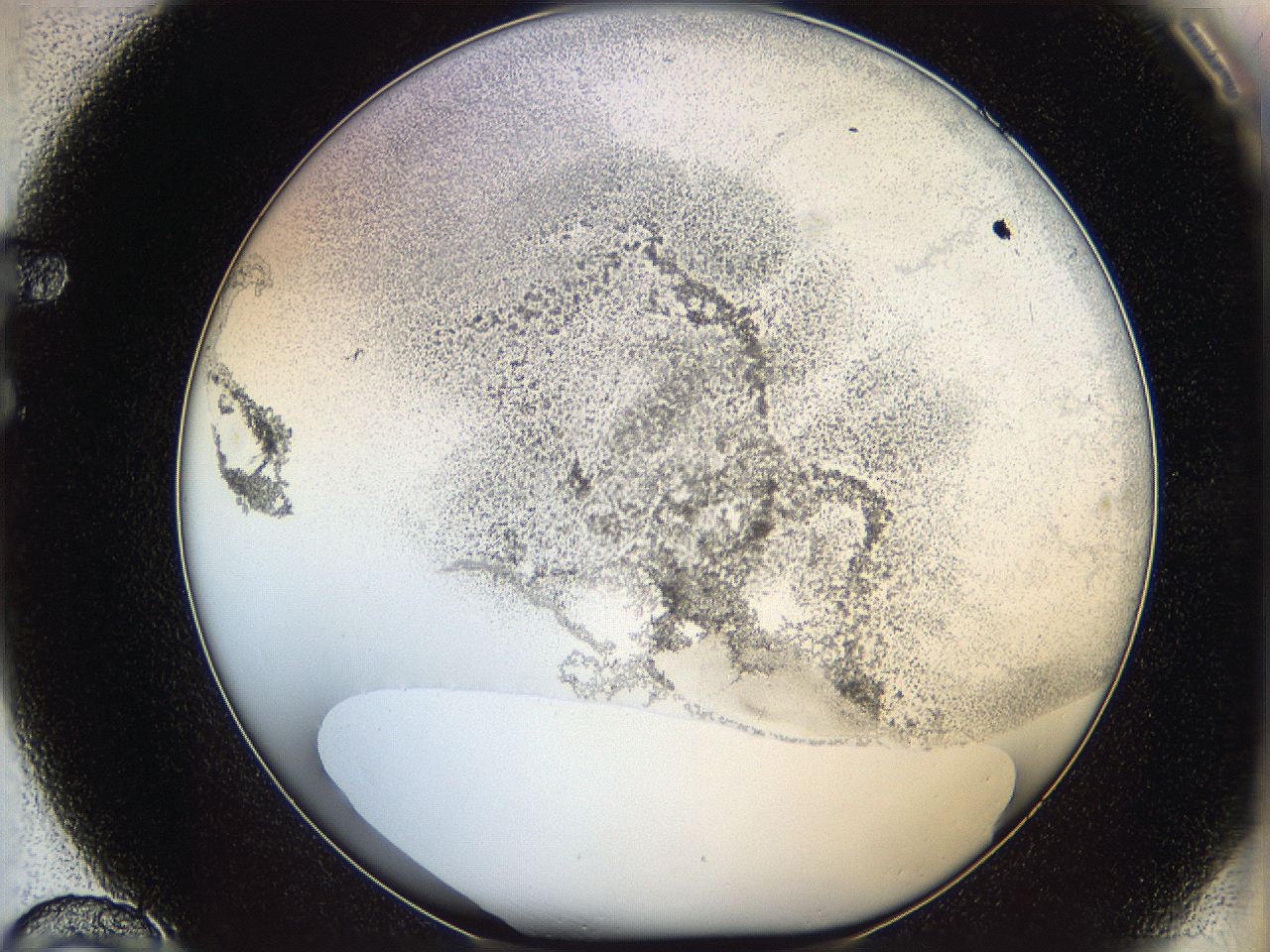 06bq_F10_ImagerDefaults_3.jpg