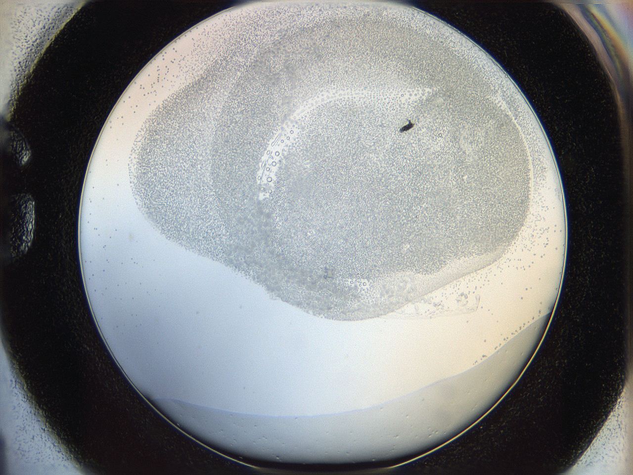 06bq_G1_ImagerDefaults_5.jpg