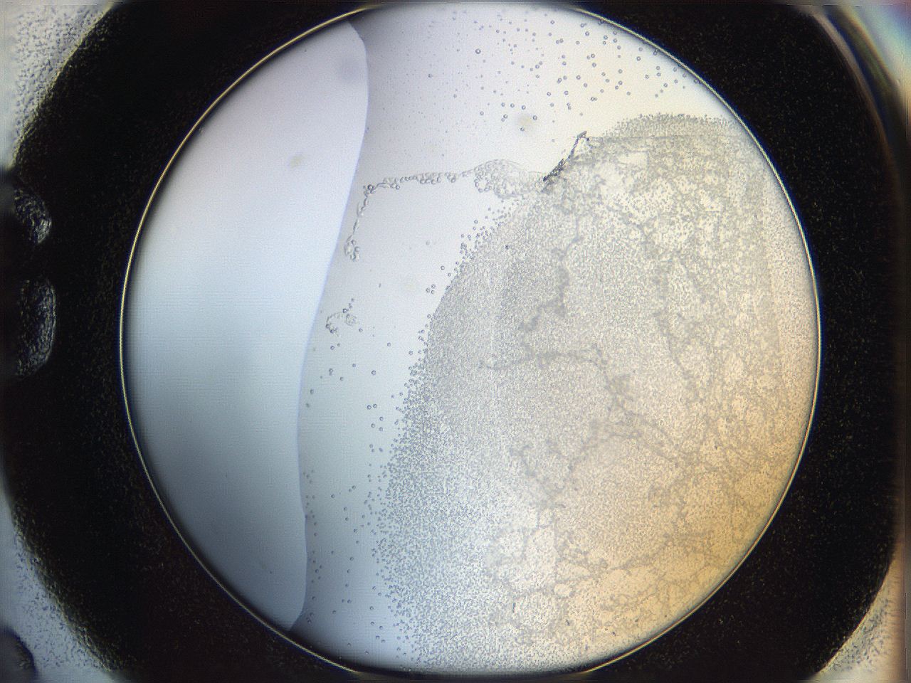 06bq_G2_ImagerDefaults_5.jpg
