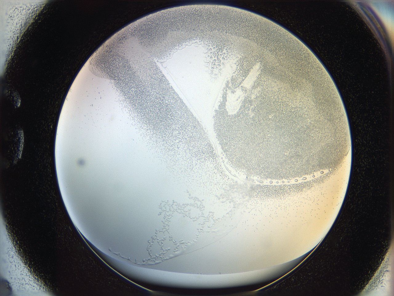 06bq_G4_ImagerDefaults_5.jpg
