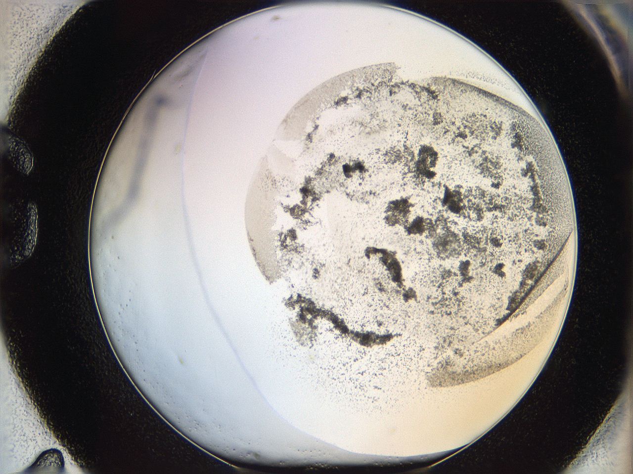 06bq_G11_ImagerDefaults_3.jpg