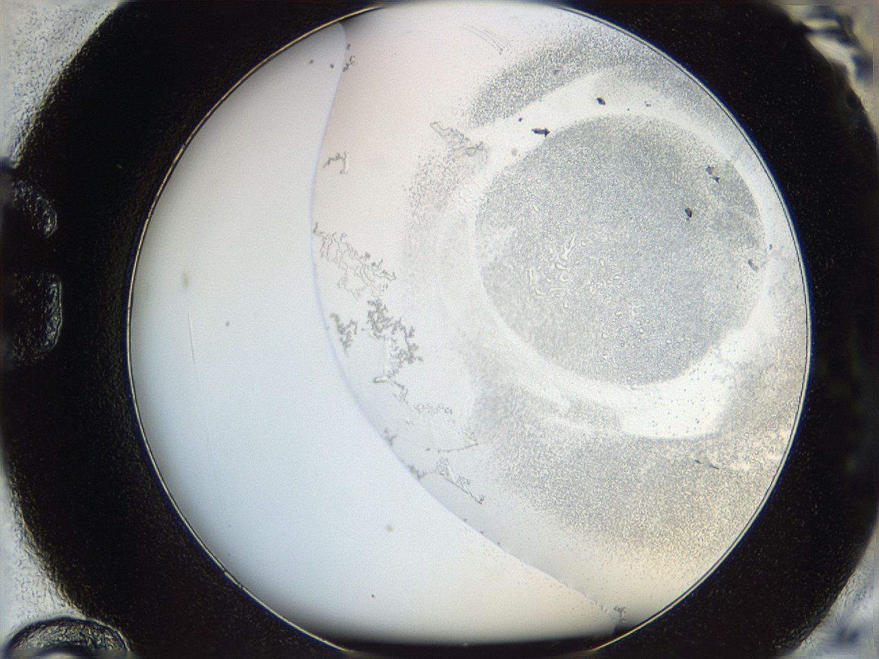 06bq_G12_ImagerDefaults_5.jpg