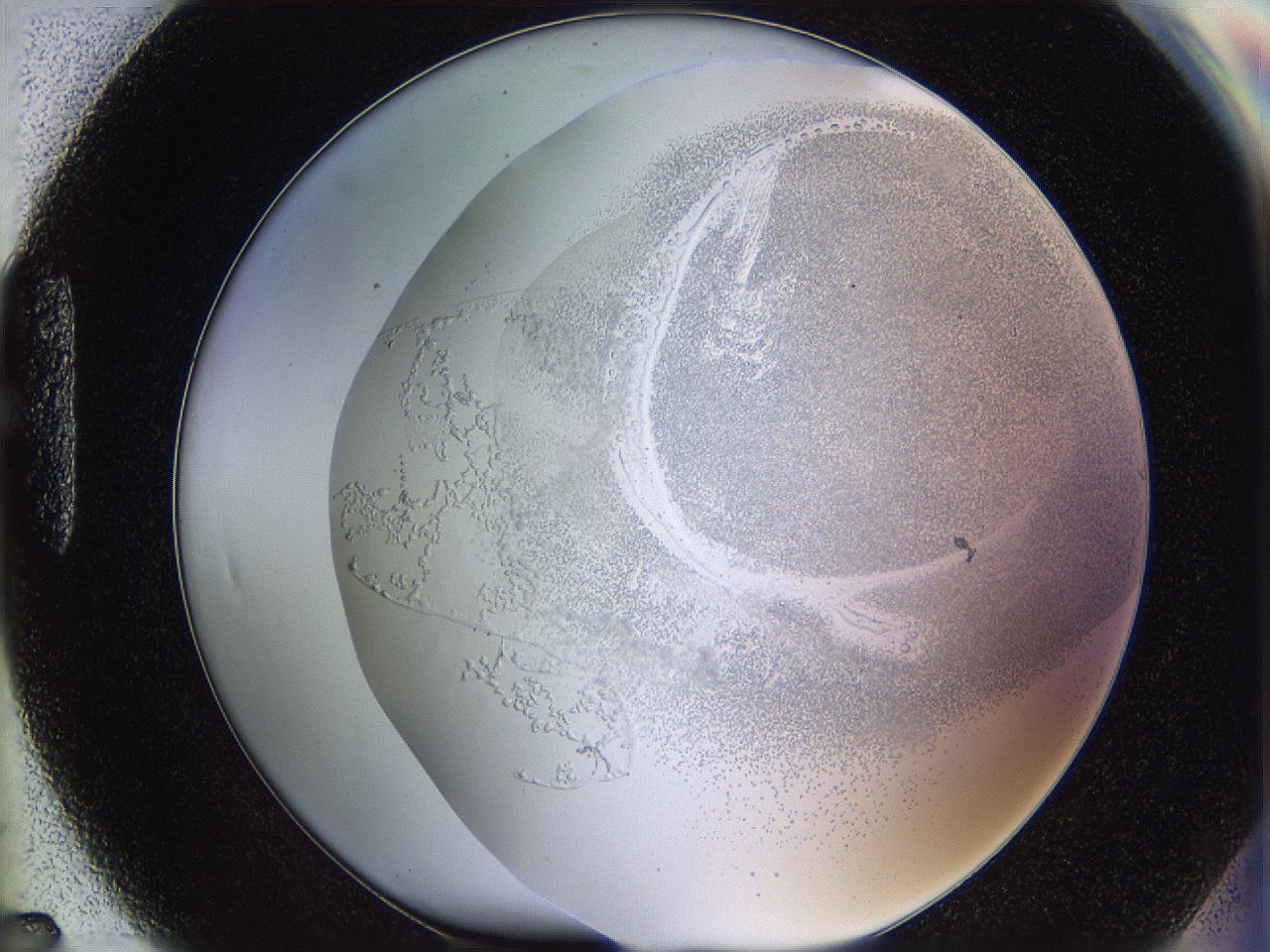06bq_H7_ImagerDefaults_5.jpg