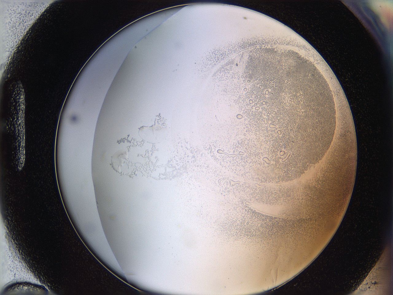06bq_H10_ImagerDefaults_5.jpg