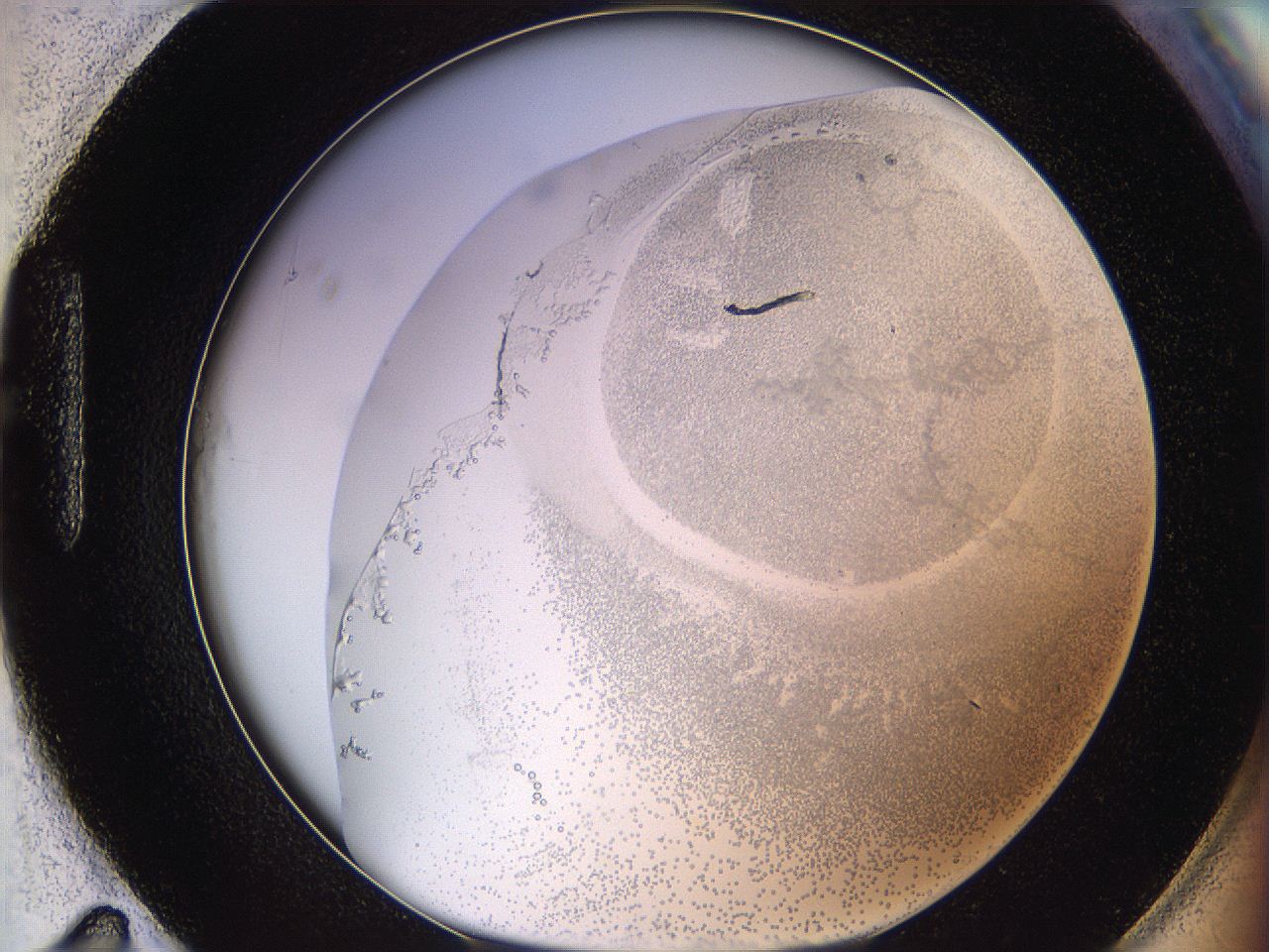 06bq_H11_ImagerDefaults_5.jpg