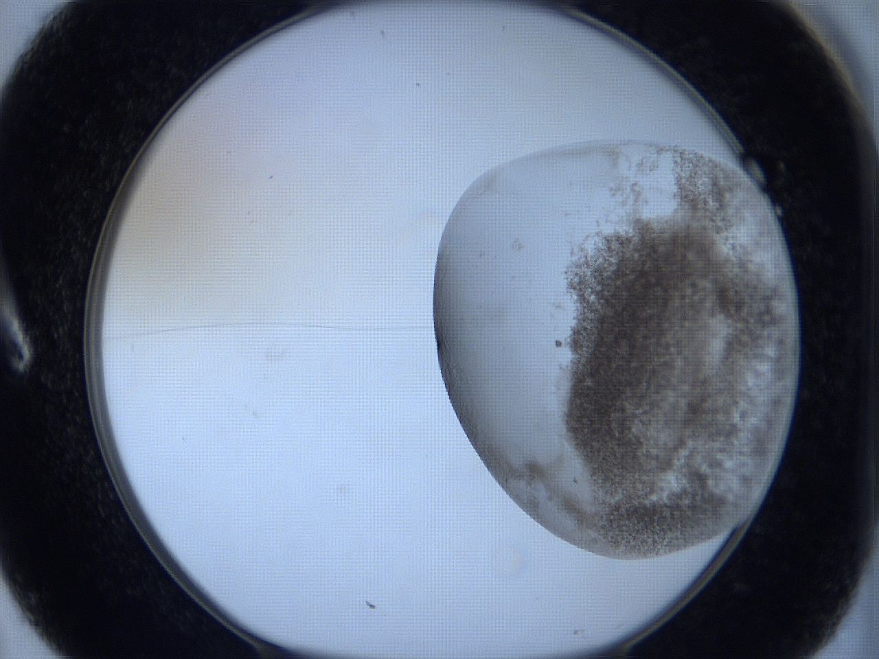 06c1_A7_ImagerDefaults_3.jpg