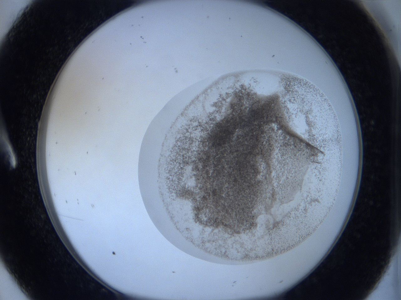 06c1_A8_ImagerDefaults_3.jpg