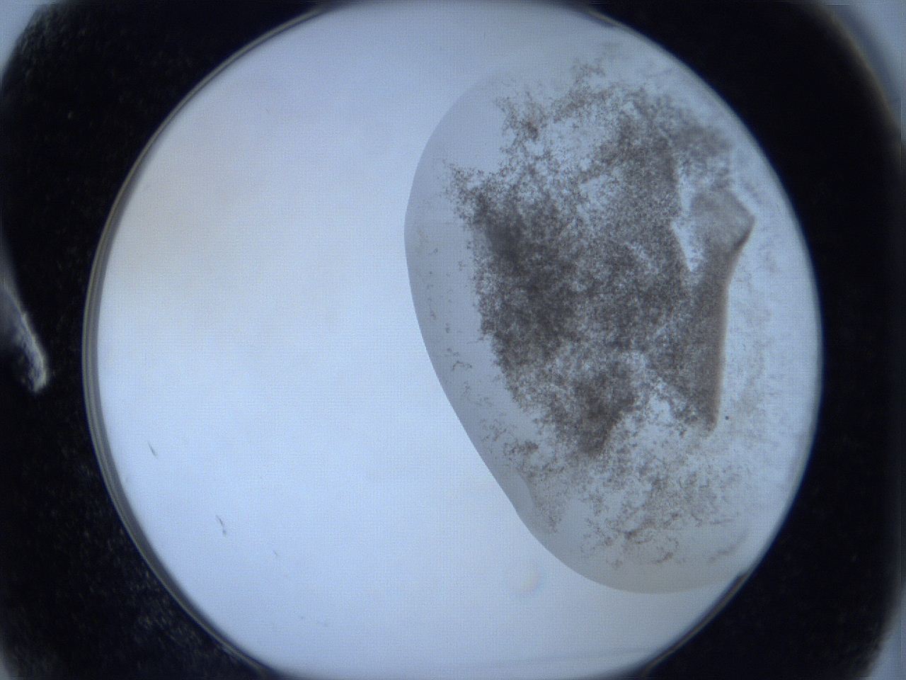06c1_A2_ImagerDefaults_3.jpg