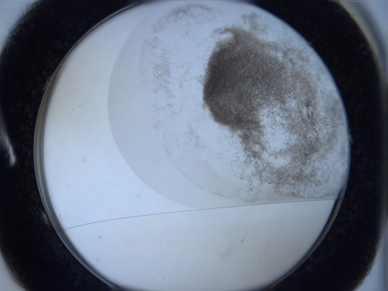 06c1_A1_ImagerDefaults_3.jpg