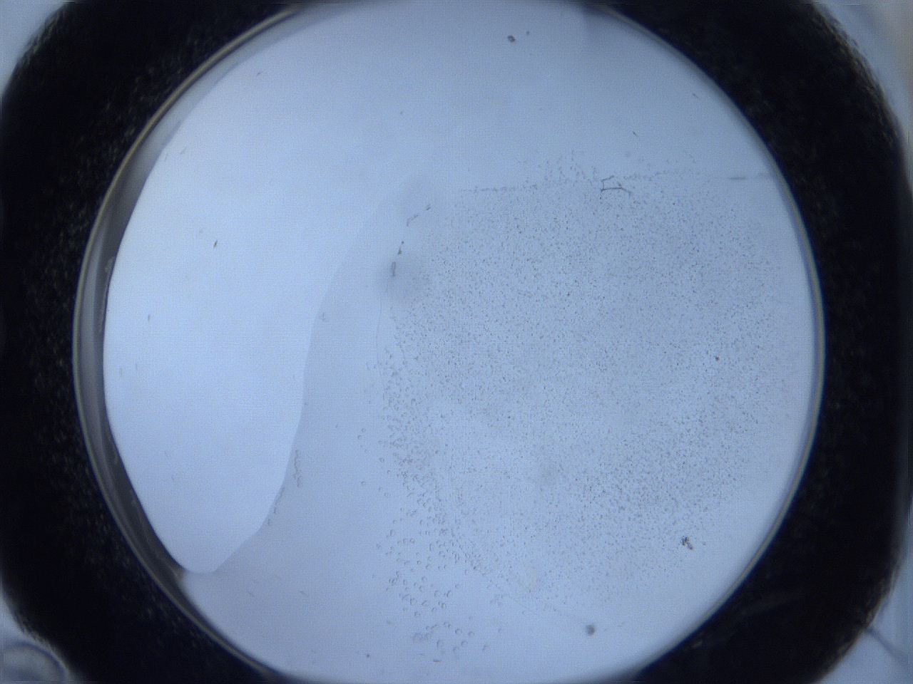 06c1_C10_ImagerDefaults_2.jpg