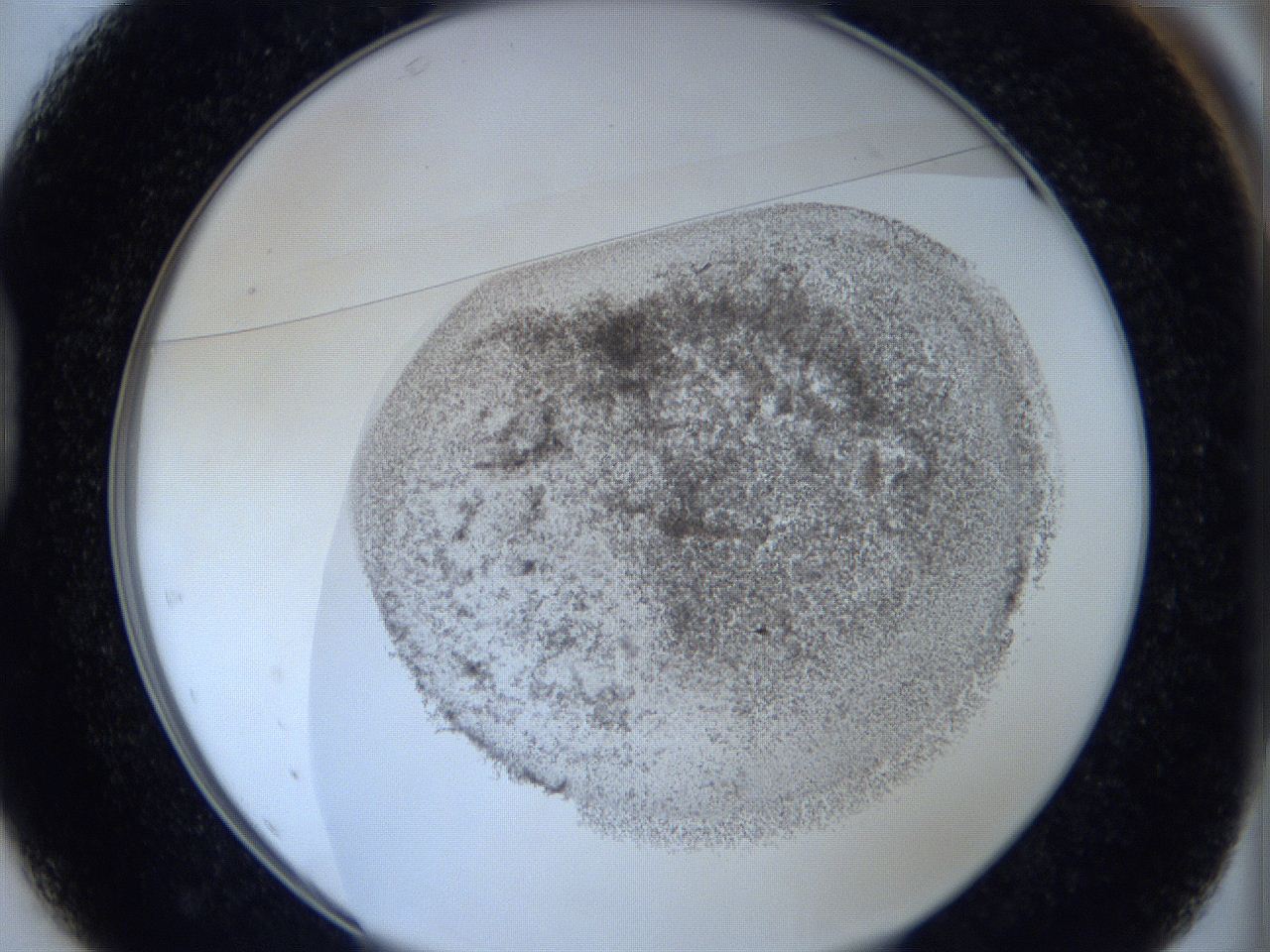 06c1_D1_ImagerDefaults_3.jpg