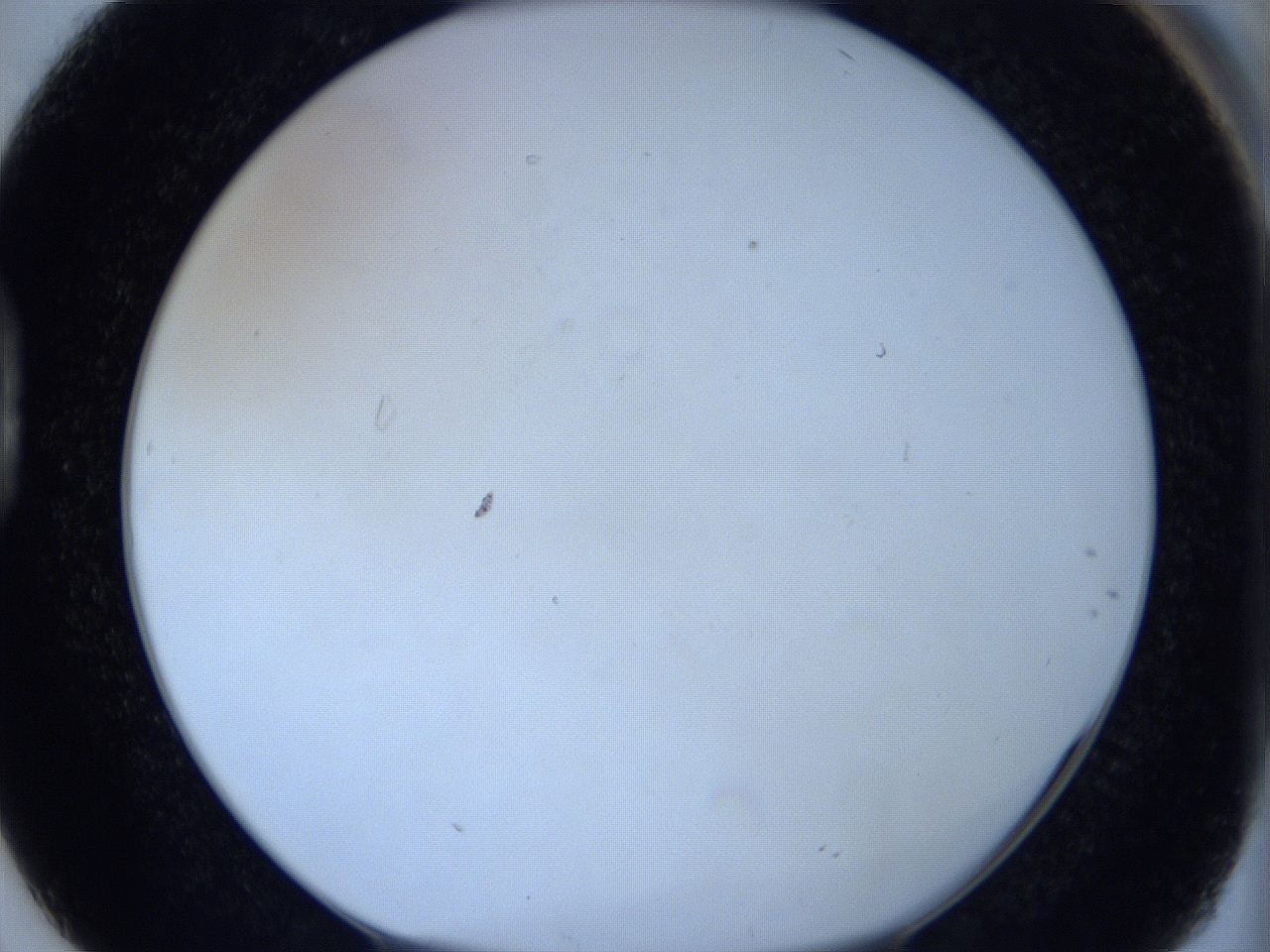 06c1_D2_ImagerDefaults_1.jpg