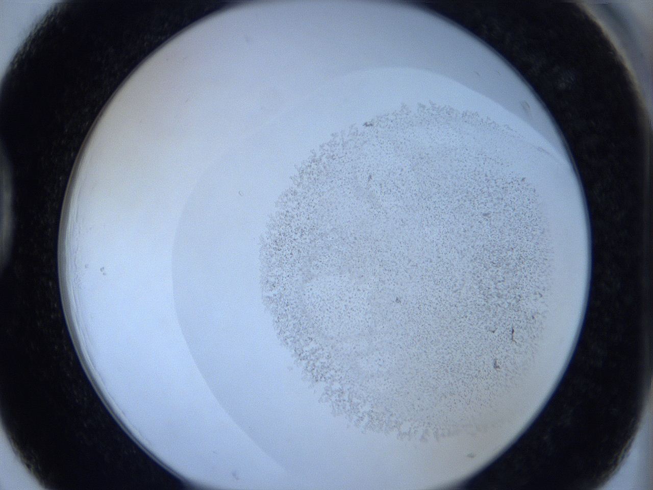 06c1_D3_ImagerDefaults_5.jpg