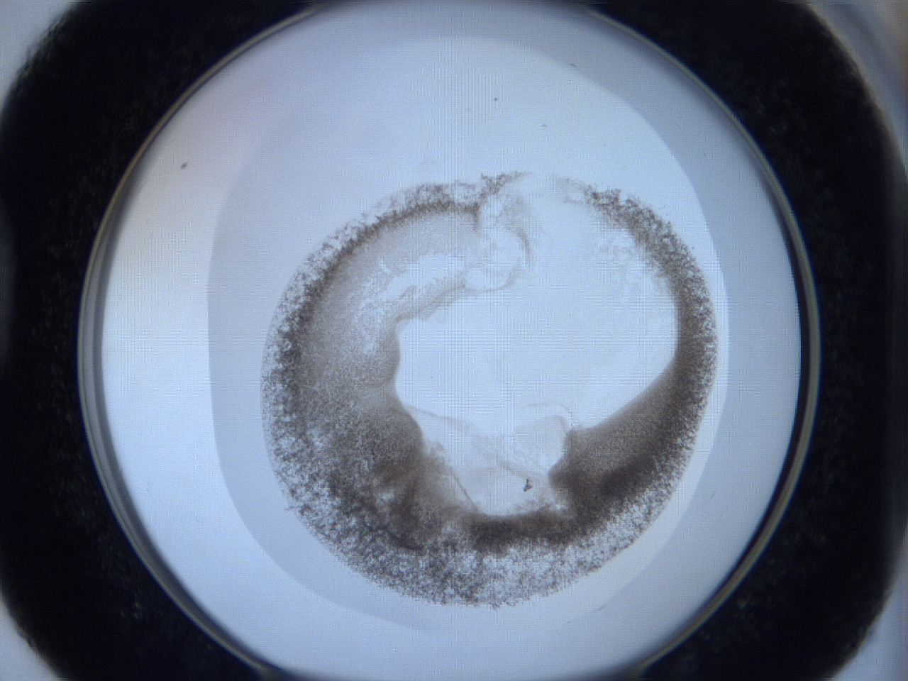 06c1_D4_ImagerDefaults_3.jpg