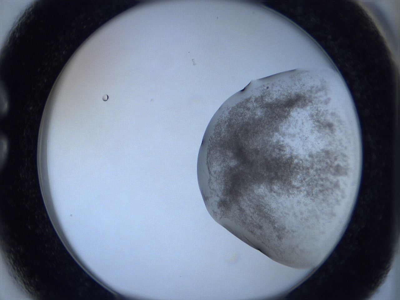 06c1_C3_ImagerDefaults_3.jpg