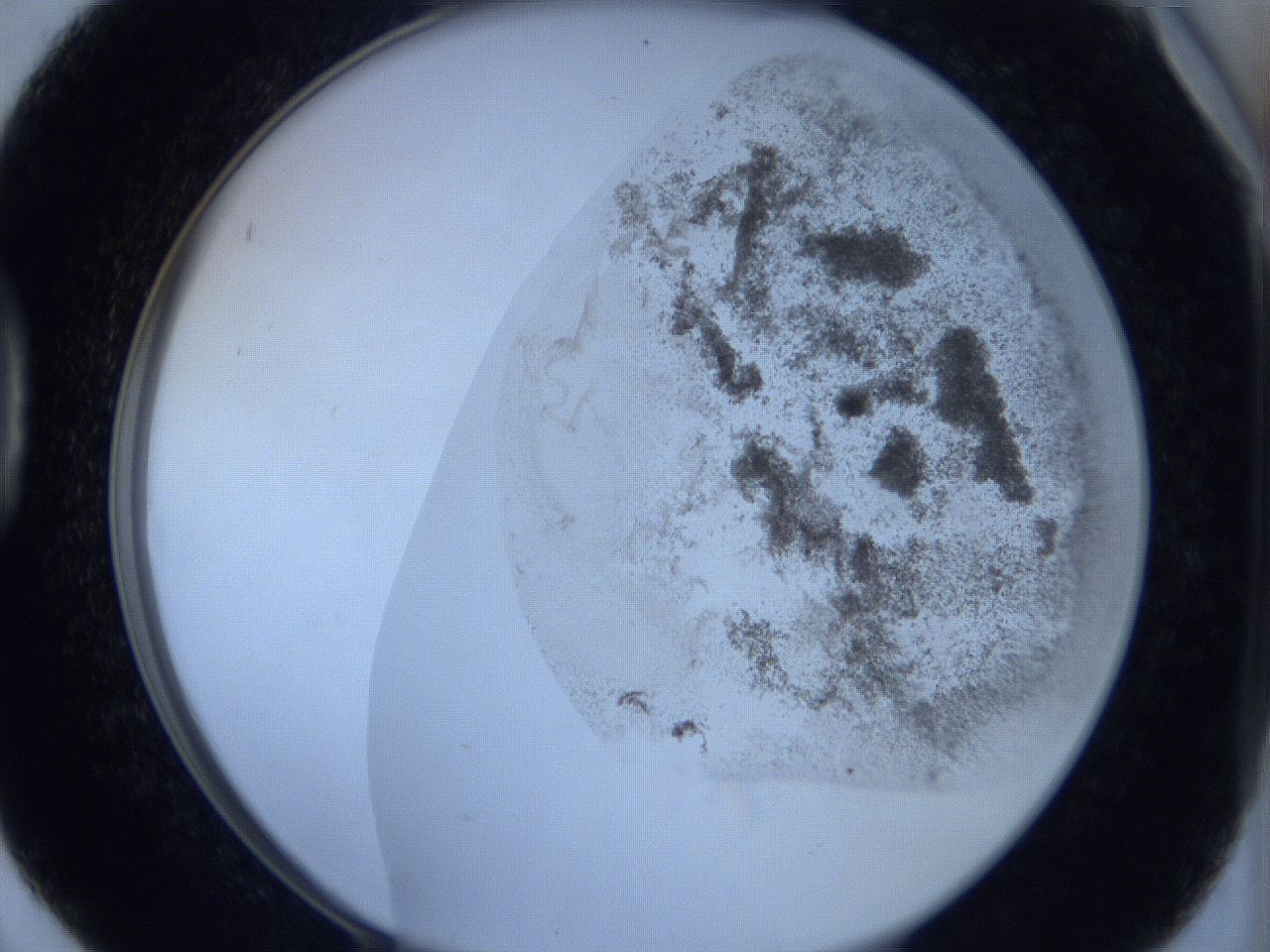 06c1_D6_ImagerDefaults_3.jpg