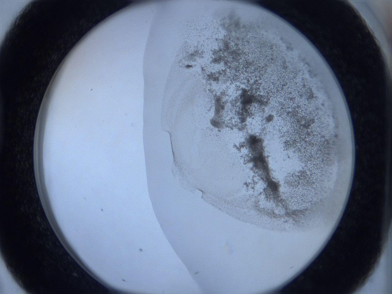 06c1_D7_ImagerDefaults_3.jpg