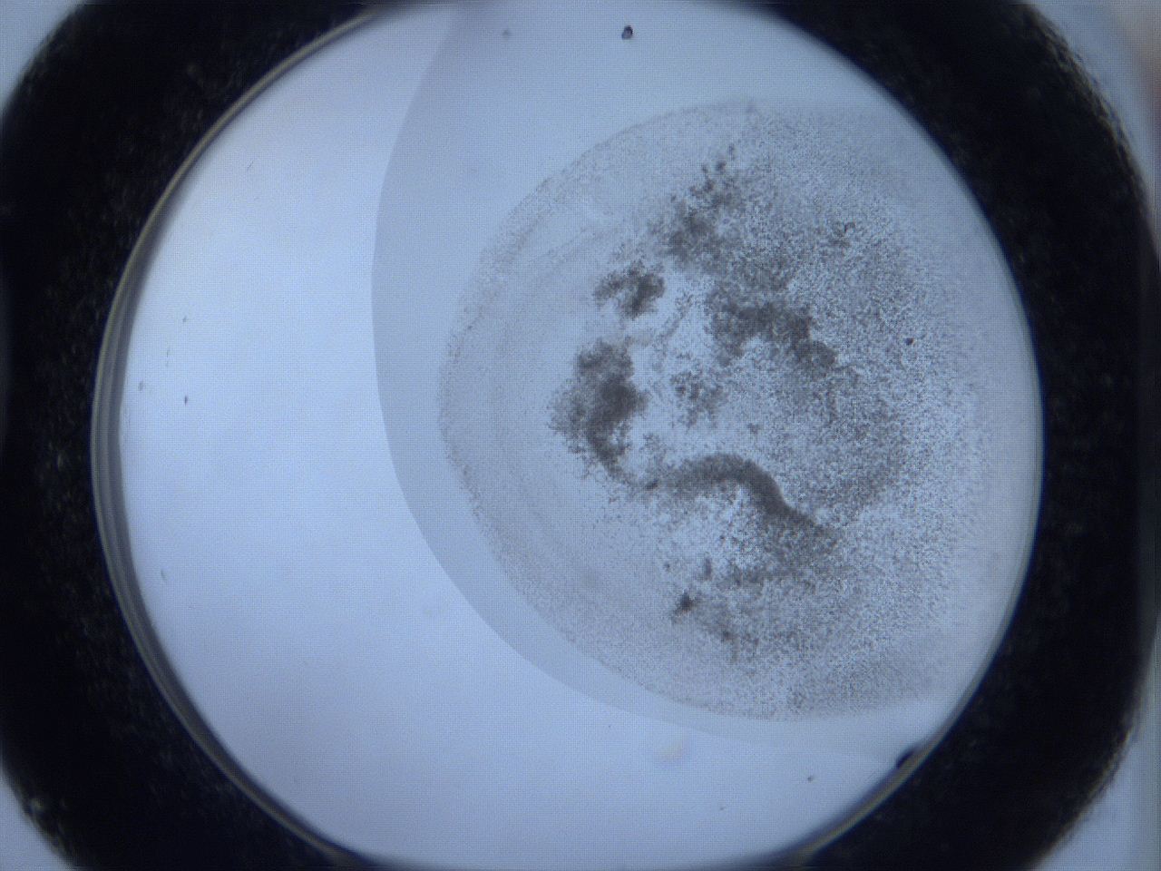 06c1_D9_ImagerDefaults_3.jpg