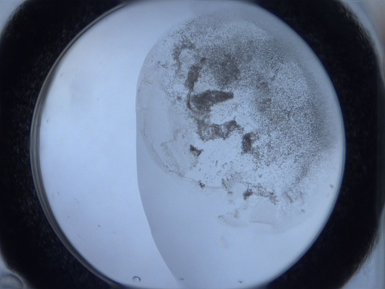 06c1_D10_ImagerDefaults_3.jpg
