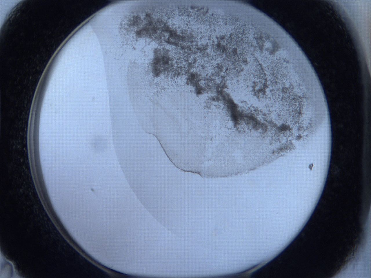 06c1_D11_ImagerDefaults_3.jpg