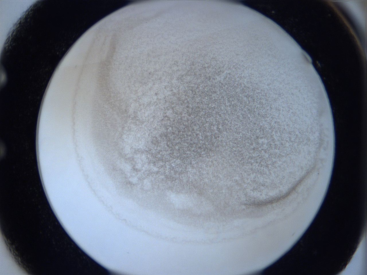 06c1_E1_ImagerDefaults_3.jpg