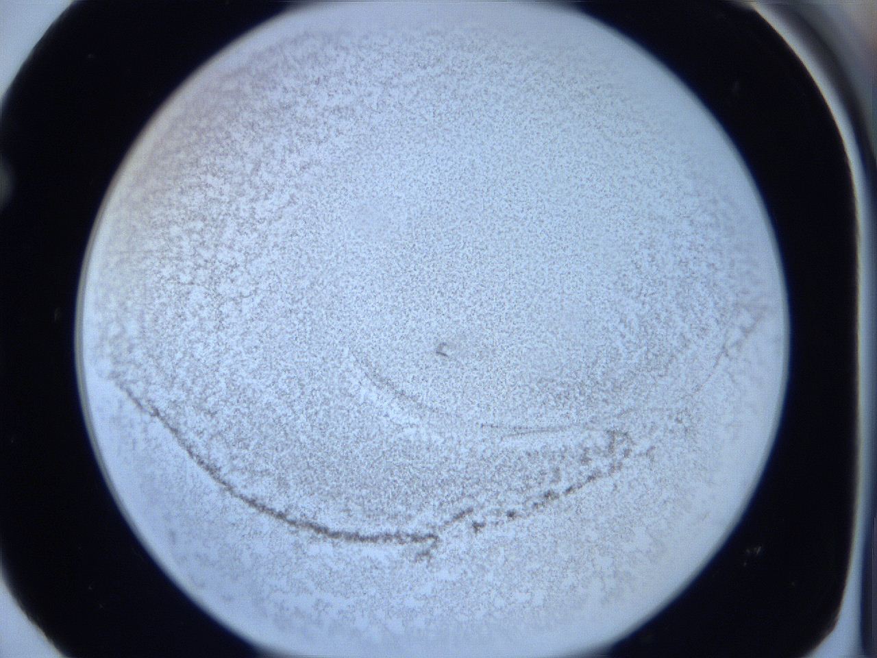 06c1_E4_ImagerDefaults_3.jpg