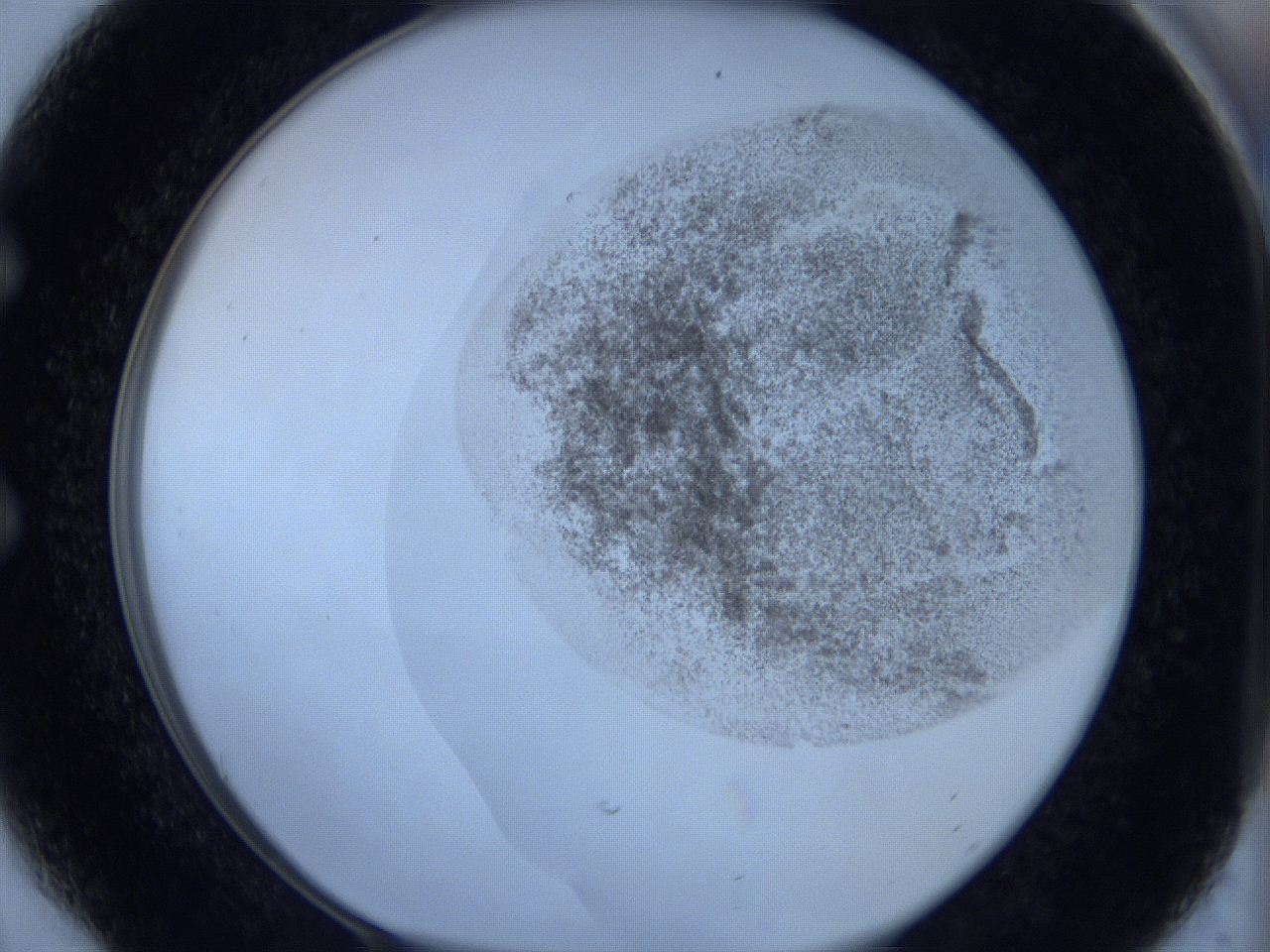 06c1_E6_ImagerDefaults_3.jpg
