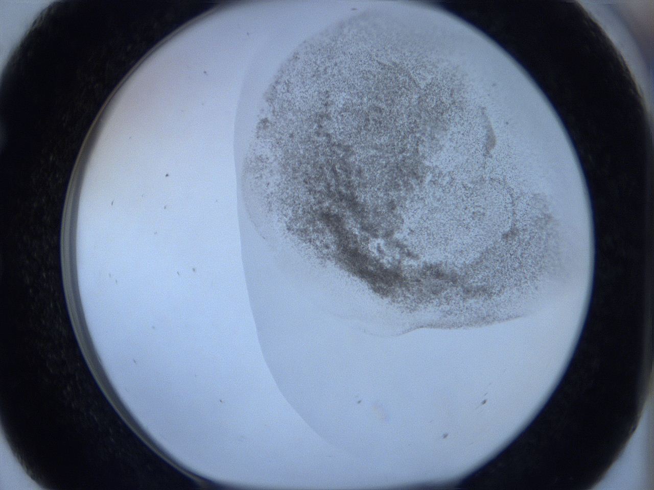 06c1_E7_ImagerDefaults_3.jpg