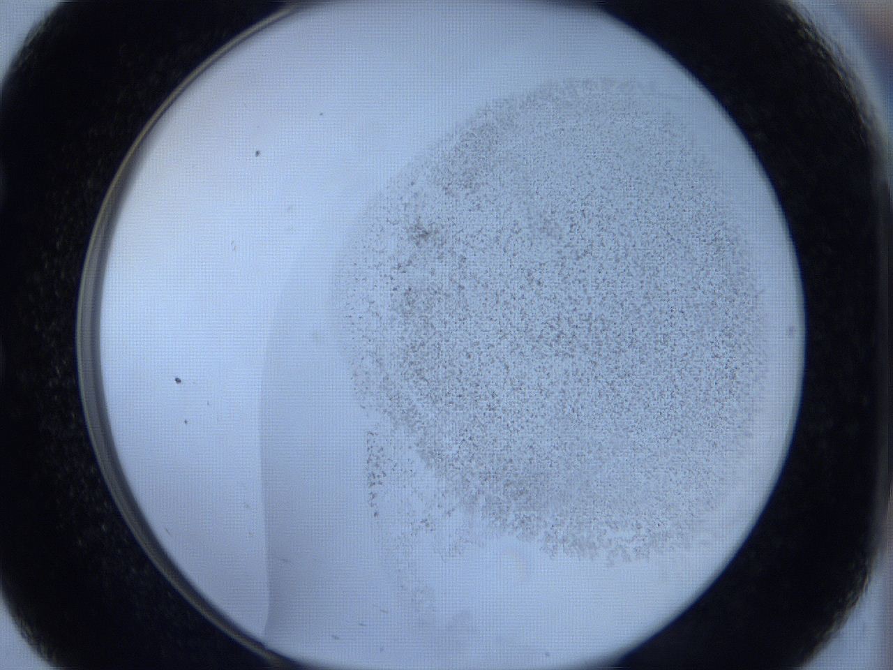 06c1_E9_ImagerDefaults_2.jpg