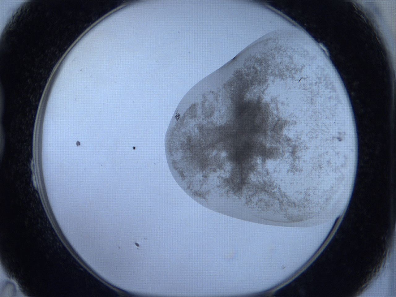 06c1_B11_ImagerDefaults_3.jpg