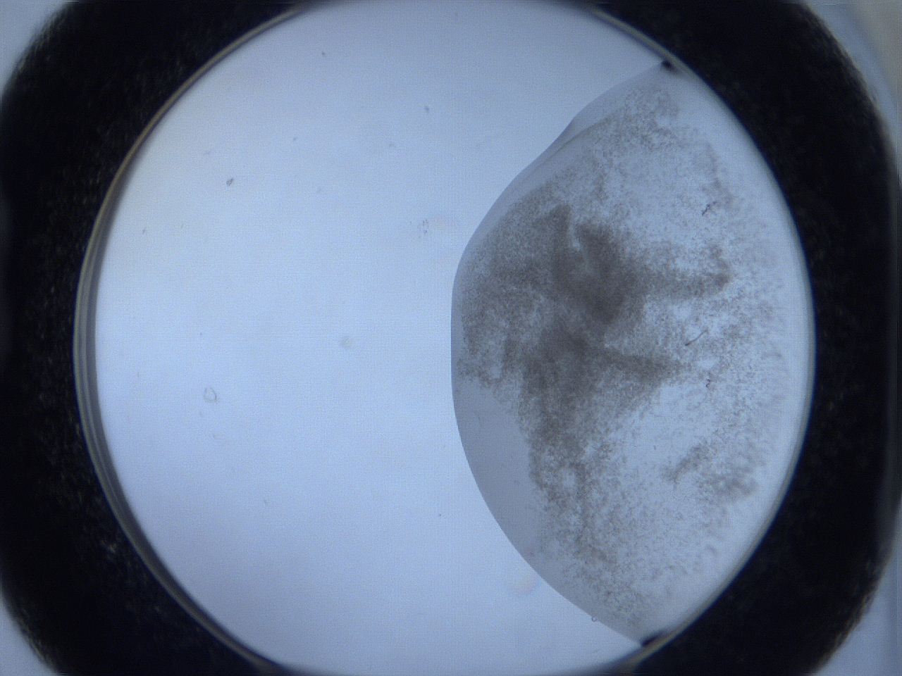 06c1_B9_ImagerDefaults_3.jpg