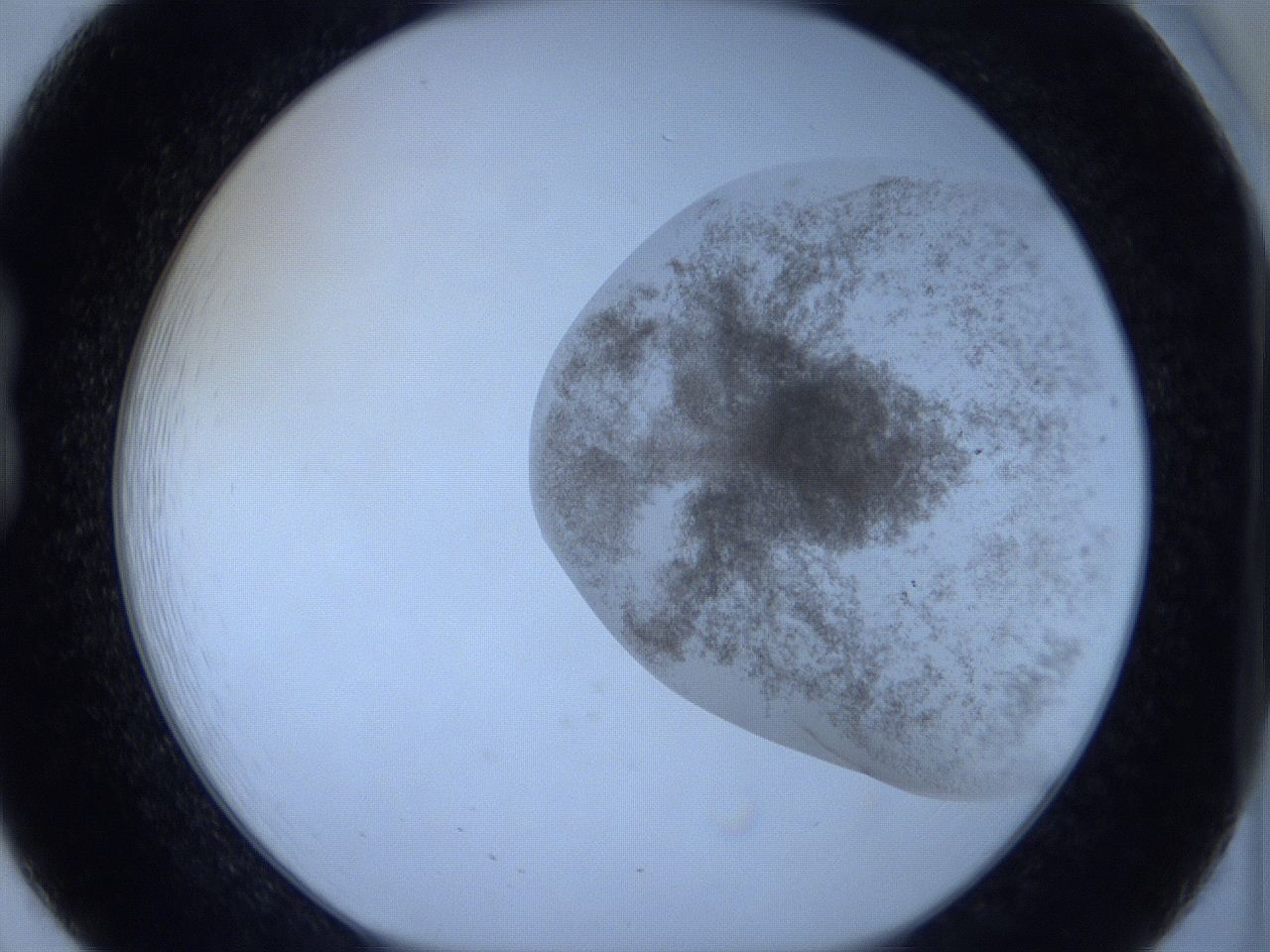 06c1_B8_ImagerDefaults_3.jpg