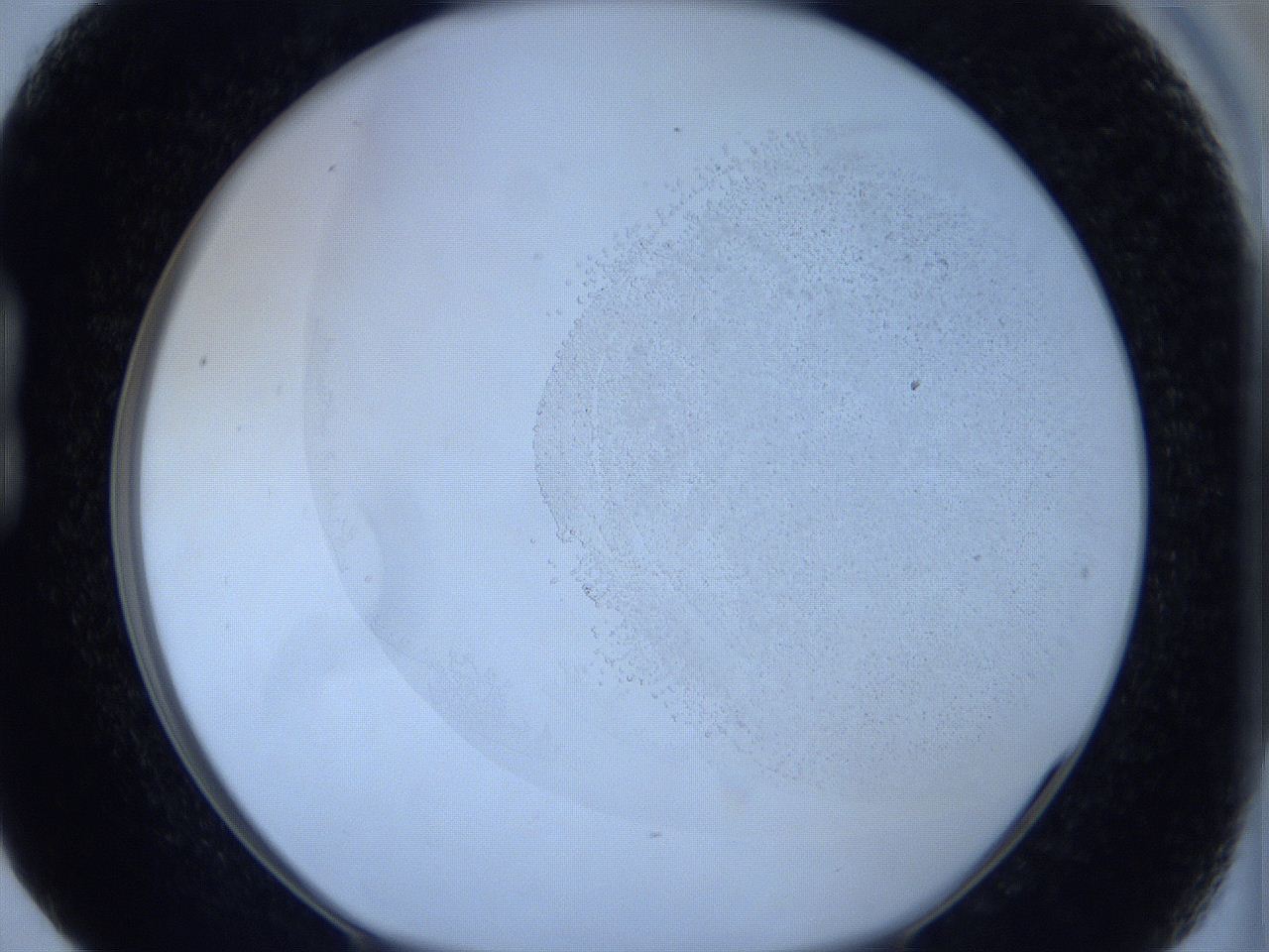 06c1_B5_ImagerDefaults_2.jpg