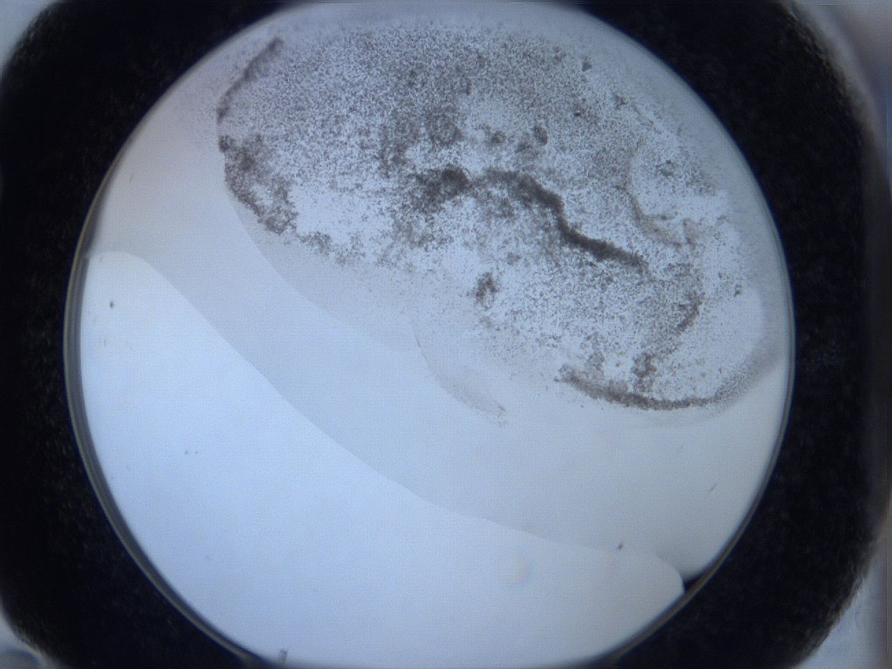 06c1_F10_ImagerDefaults_3.jpg