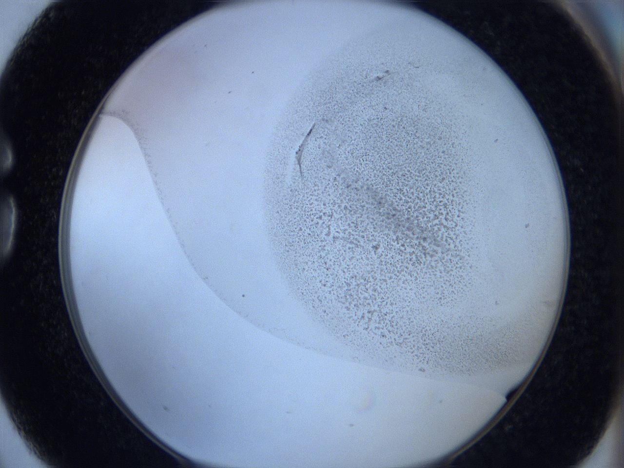 06c1_G3_ImagerDefaults_3.jpg