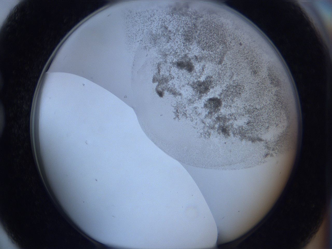 06c1_G7_ImagerDefaults_3.jpg