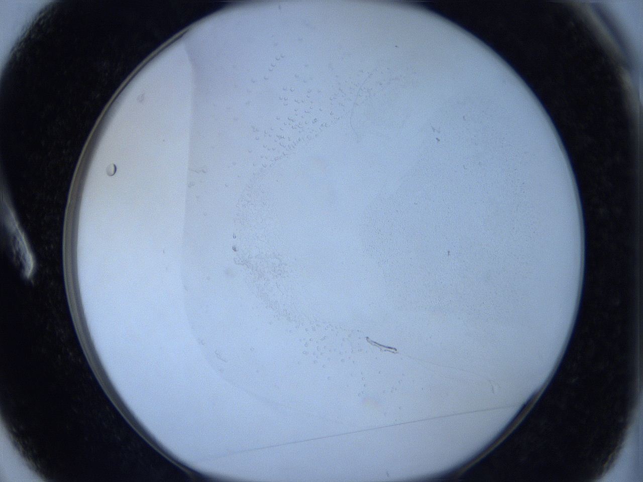 06c2_A3_ImagerDefaults_2.jpg