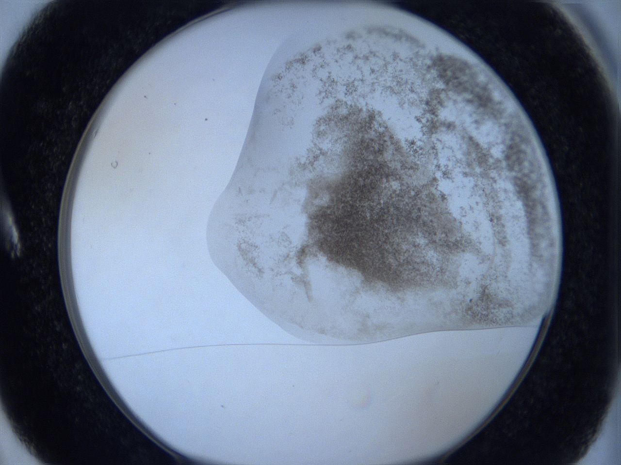 06c2_A5_ImagerDefaults_3.jpg