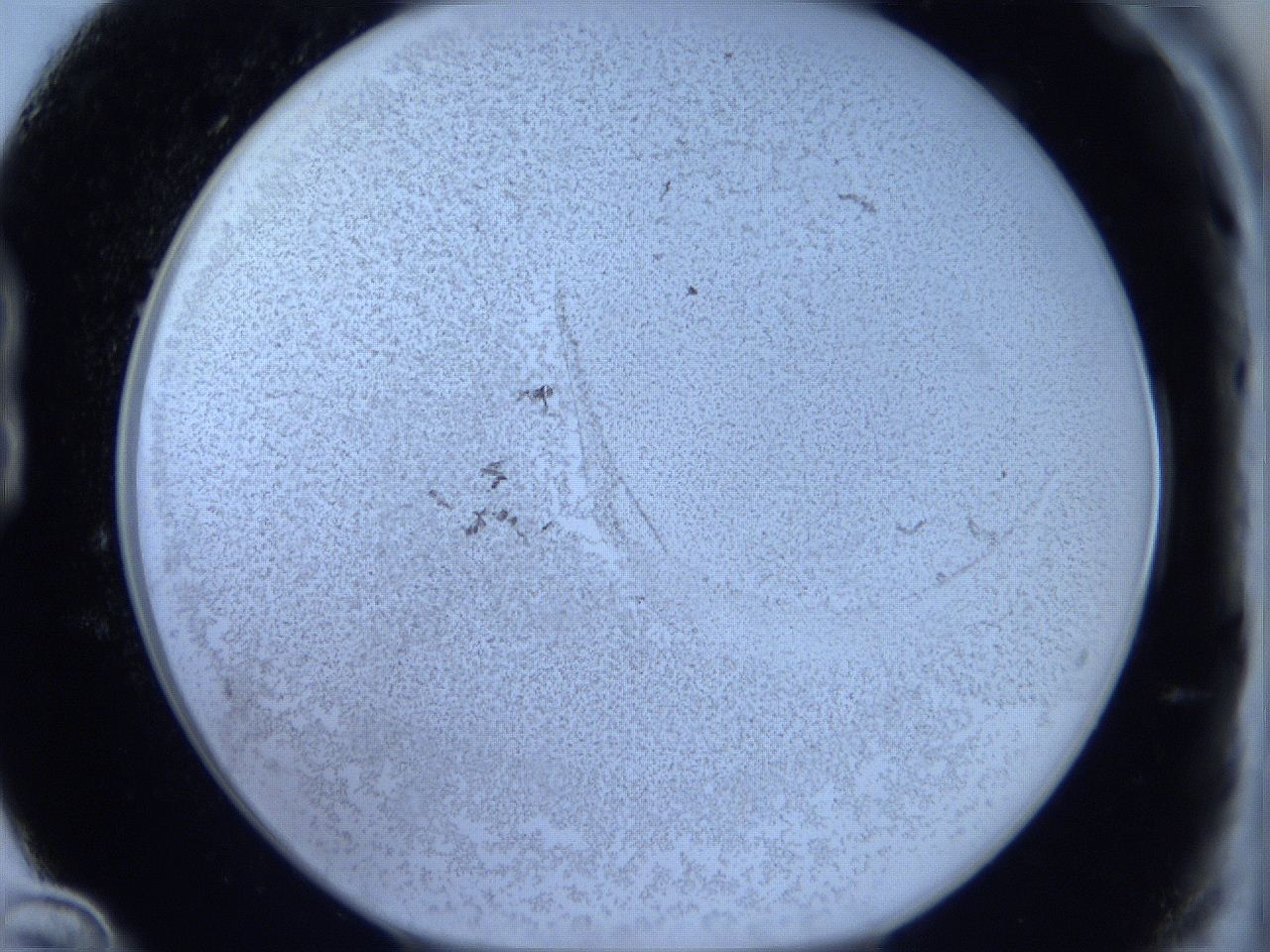 06c2_B12_ImagerDefaults_5.jpg