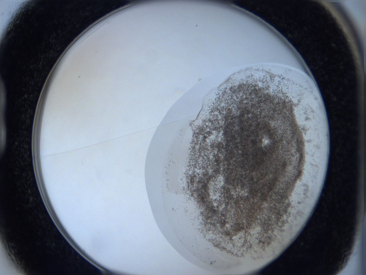 06c2_B1_ImagerDefaults_3.jpg