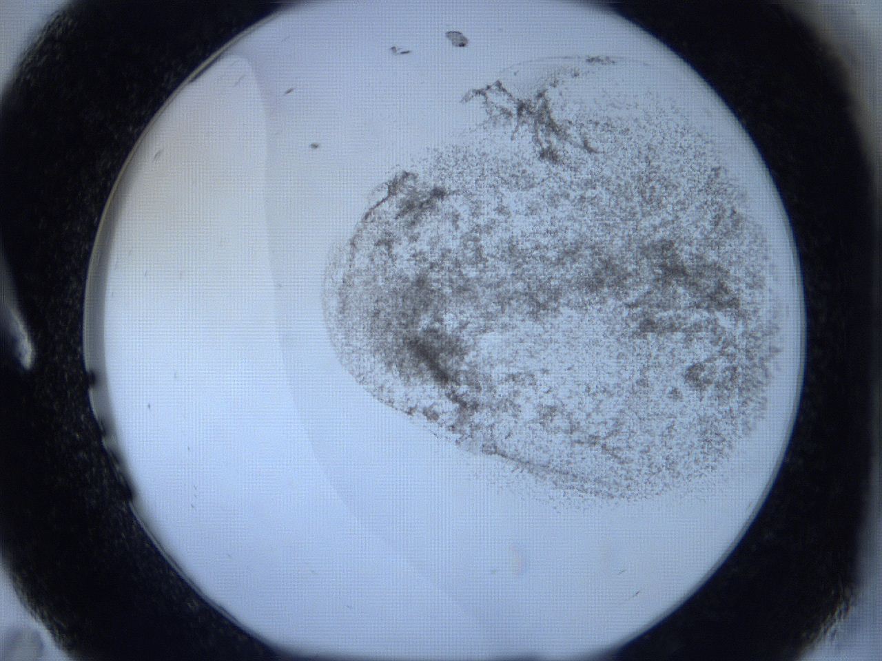 06c2_A11_ImagerDefaults_3.jpg