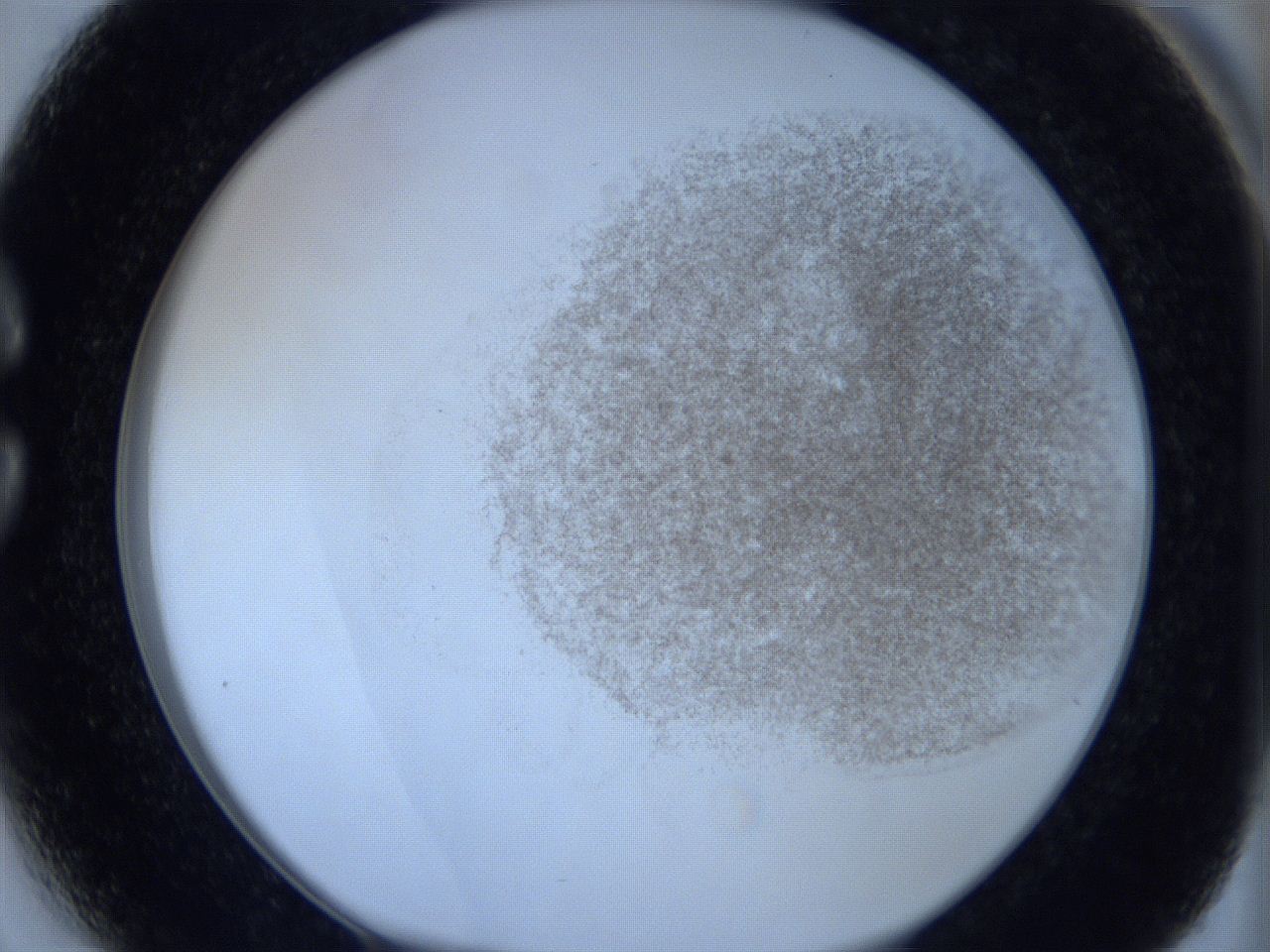 06c2_C3_ImagerDefaults_3.jpg