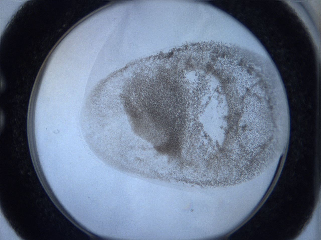 06c2_C5_ImagerDefaults_3.jpg