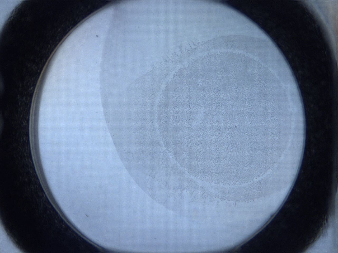 06c2_C9_ImagerDefaults_5.jpg