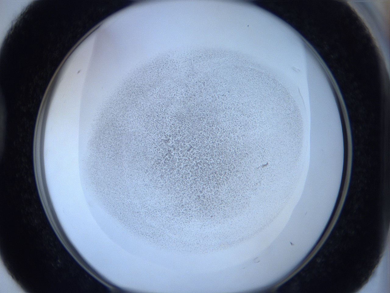 06c2_D4_ImagerDefaults_2.jpg
