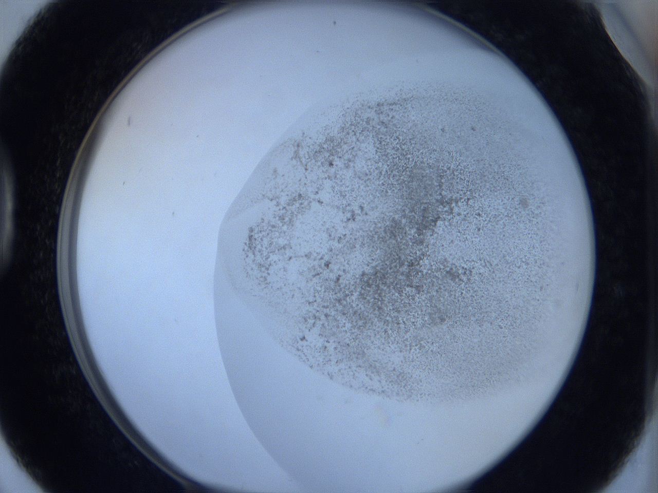 06c2_D6_ImagerDefaults_2.jpg